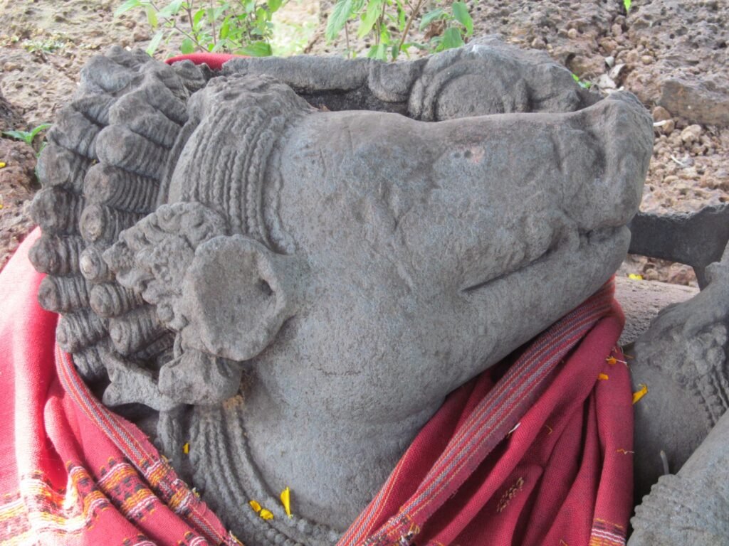 বরাহ, গোকুল নগর